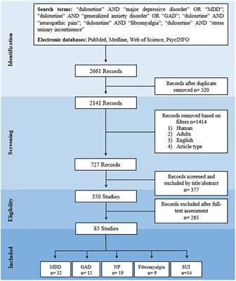 A Systematic Review of Efficacy, Safety, and Tolerability of Duloxetine